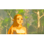 Nintendo The Legend of Zelda  Breath of the Wild