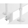 Equip Staffa di montaggio articolata per monitor da tavolo da 17“-32”, bianco