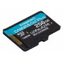 Kingston Technology Scheda microSDXC Canvas Go Plus Gen4 200MB s A2 U3 V30 da 256 GB + adattatore